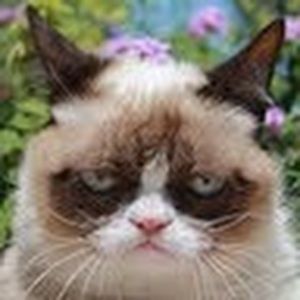 Meet your Posher, Tracey